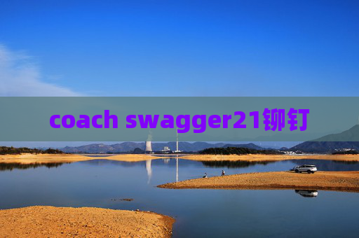 coach swagger21铆钉